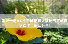 整理一份2022不看征信和大数据的贷款借款软件，简云分享！