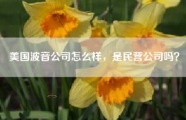美国波音公司怎么样，是民营公司吗？