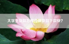 大学生贷款怎样办理贷款下款快？