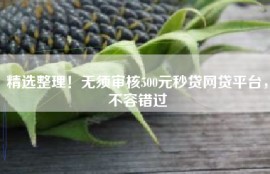 精选整理！无须审核500元秒贷网贷平台，不容错过