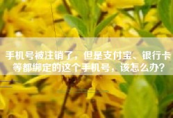 手机号被注销了，但是支付宝、银行卡等都绑定的这个手机号，该怎么办？