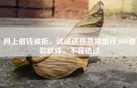 网上借钱被拒，试试这些急需借钱3000借款软件，不容错过