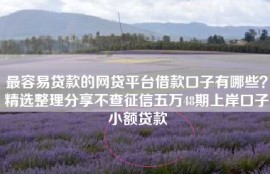 最容易贷款的网贷平台借款口子有哪些？精选整理分享不查征信五万48期上岸口子小额贷款