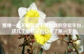 整理一份不看征信不看负债的贷款平台，这几个借款平台口子了解一下！