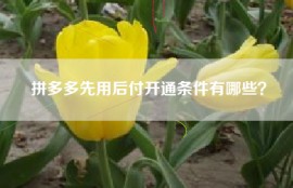 拼多多先用后付开通条件有哪些？
