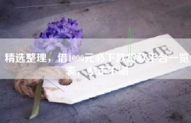 精选整理，借1000元必下款贷款平台一览表，拿走不谢