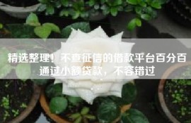 精选整理！不查征信的借款平台百分百通过小额贷款，不容错过