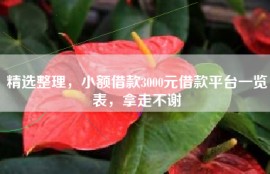 精选整理，小额借款3000元借款平台一览表，拿走不谢