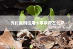 支付宝刷信用卡手续费怎么算