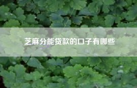 芝麻分能贷款的口子有哪些