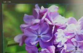 截屏的快捷键是什么?电脑怎么局部截屏(3大快速方法)？