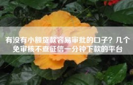 有没有小额贷款容易审批的口子？几个免审核不查征信一分钟下款的平台
