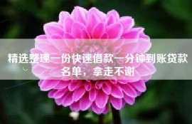 精选整理一份快速借款一分钟到账贷款名单，拿走不谢
