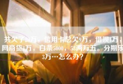 共欠了20万，信用卡总欠9万，借呗1万，网商贷1万，白条5000，58两万五。分期乐3万…怎么办？