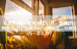 共欠了20万，信用卡总欠9万，借呗1万，网商贷1万，白条5000，58两万五。分期乐3万…怎么办？