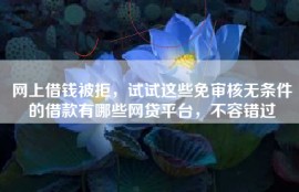 网上借钱被拒，试试这些免审核无条件的借款有哪些网贷平台，不容错过