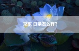 京东 白条怎么样？