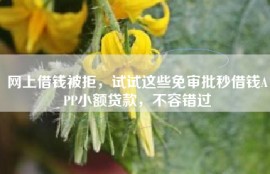 网上借钱被拒，试试这些免审批秒借钱APP小额贷款，不容错过