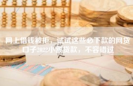 网上借钱被拒，试试这些必下款的网贷口子2022小额贷款，不容错过