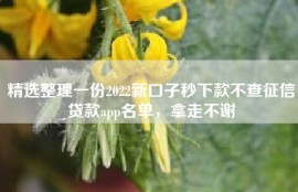 精选整理一份2022新口子秒下款不查征信贷款app名单，拿走不谢