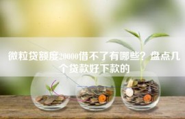 微粒贷额度20000借不了有哪些？盘点几个贷款好下款的