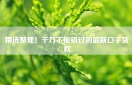 精选整理！千万不能错过的最新口子贷款