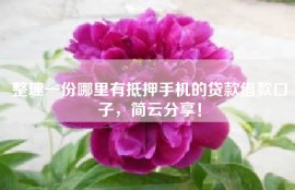 整理一份哪里有抵押手机的贷款借款口子，简云分享！