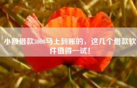 小额借款3000马上到账的，这几个借款软件值得一试！