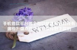 手机借款平台哪个可以快速的借到钱有哪些？盘点几个借款软件好下款的