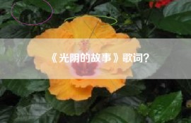 《光阴的故事》歌词？
