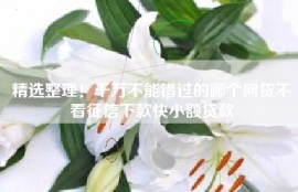 精选整理！千万不能错过的哪个网贷不看征信下款快小额贷款