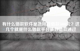 有什么借款软件是急用钱借款5000元？这几个就是什么借款平台最好借款通过