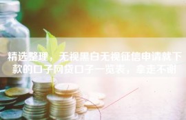 精选整理，无视黑白无视征信申请就下款的口子网贷口子一览表，拿走不谢