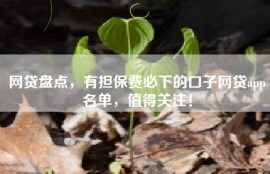 网贷盘点，有担保费必下的口子网贷app名单，值得关注！