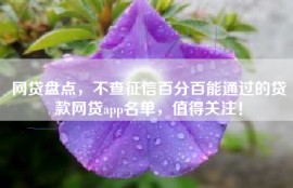 网贷盘点，不查征信百分百能通过的贷款网贷app名单，值得关注！