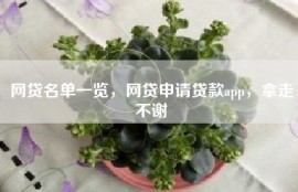 网贷名单一览，网贷申请贷款app，拿走不谢