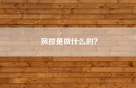 风控是做什么的？