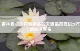 吉林省：为符合条件的夫妻最高提供20万婚育消费贷