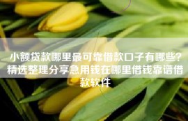 小额贷款哪里最可靠借款口子有哪些？精选整理分享急用钱在哪里借钱靠谱借款软件