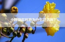 小额贷款利息为什么这么高？