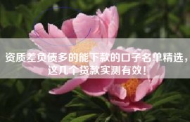 资质差负债多的能下款的口子名单精选，这几个贷款实测有效！