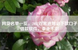 网贷名单一览，2022双黑逾期必下款口子借款软件，拿走不谢
