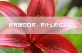 没有钱交首付，有什么办法买房？