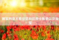 哪家网贷不看征信和信用卡账单以及淘宝