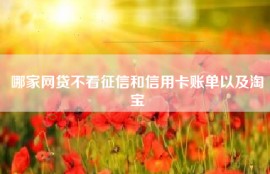 哪家网贷不看征信和信用卡账单以及淘宝