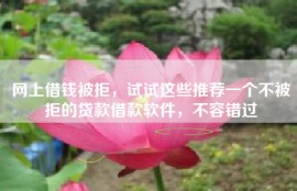 网上借钱被拒，试试这些推荐一个不被拒的贷款借款软件，不容错过