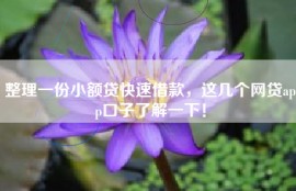 整理一份小额贷快速借款，这几个网贷app口子了解一下！