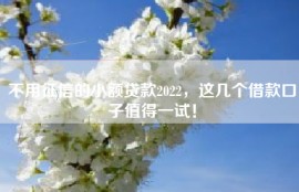 不用征信的小额贷款2022，这几个借款口子值得一试！