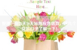 整理一份14天30天短期应急借款，这几个贷款口子了解一下！