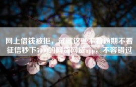 网上借钱被拒，试试这些不看逾期不看征信秒下5000的网贷网贷app，不容错过